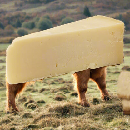 Isle of Mull Cheddar Wedge